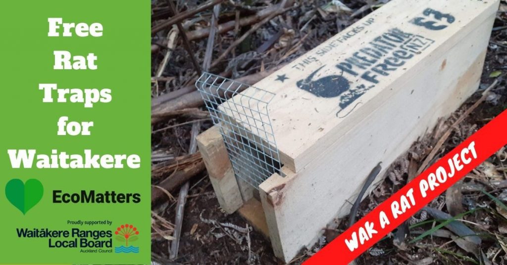Free Rat Traps for Waitakere Township – Wak a Rat Project